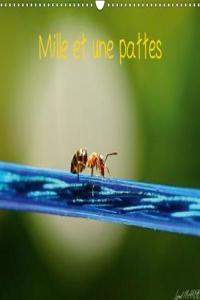 Mille Et Une Pattes 2018