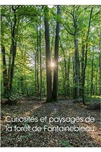Curiosites Et Paysages De La Foret De Fontainebleau 2018