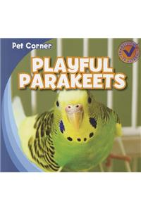 Playful Parakeets