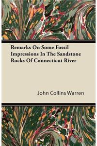 Remarks On Some Fossil Impressions In The Sandstone Rocks Of Connecticut River