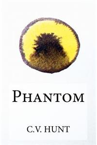 Phantom: Book 3 of the Endlessly Series