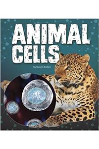 Animal Cells