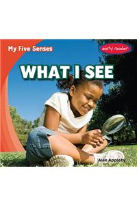 What I See
