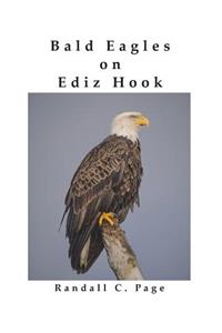 Bald Eagles on Ediz Hook