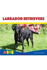 Labrador Retrievers