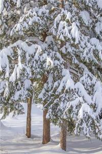 Winter Snow Covered Evergreen Trees Journal