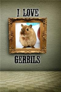 I Love Gerbils