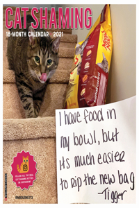 Cat Shaming 2021 Wall Calendar