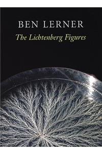Lichtenberg Figures