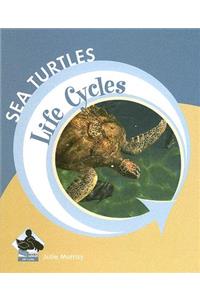Sea Turtles