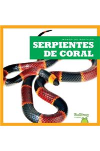 Serpientes de Coral (Coral Snakes)