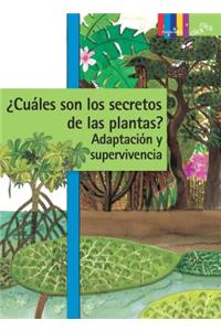 Cuales Son Los Secretos de Las Plantas? Adaptacion Y Supervivencia
