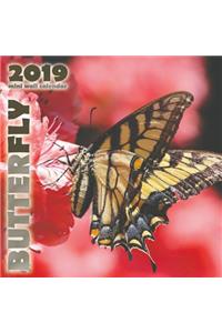 Butterfly 2019 Mini Wall Calendar