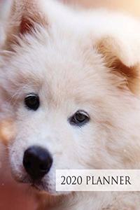 Dog 2020 Week to View Planner