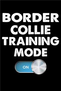 Border Collie Training Mode On