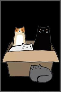 Cats in a Box