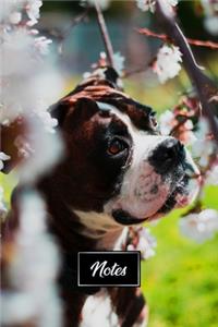 Boxer Dog Pup Puppy Doggie Notebook Bullet Journal Diary Composition Book Notepad - Cherry Blossoms Tree