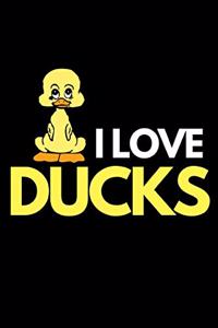 I Love Ducks