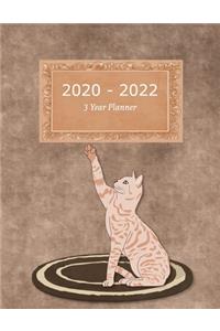 2020 - 2022 3 Year Planner