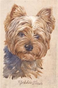 Yorkshire Terrier Dog Portrait Notebook