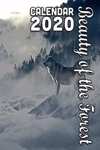 Beauty of the Forest Calendar 2020