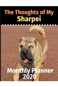 The Thoughts of My Sharpei
