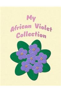 My African Violet Collection