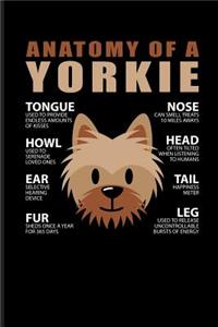 Anatomy of a Yorkie