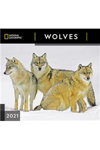 Cal 2021- National Geographic Wolves Wall