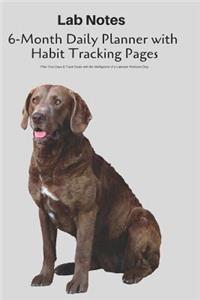 Lab Notes 6-Month Daily Planner with Habit Tracking Pages Plan Your Days & Track Goals with the Intelligence of a Labrador Retriever Dog