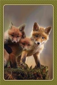 Fox Notebook