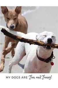 My Dogs Are Fun and Funny!