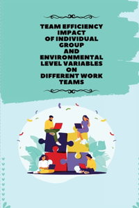 Team efficiency impact of individual group and environmental level variables on different work teams