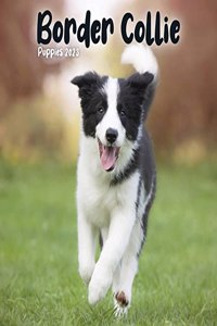 Border Collie Puppies Mini Square Wall Calendar 2023