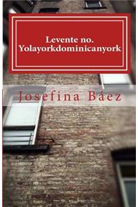 Levente no. Yolayorkdominicanyork