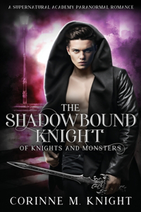 Shadowbound Knight