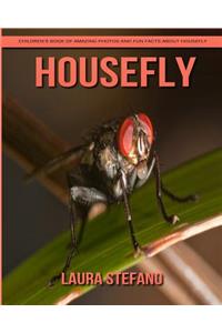 Housefly