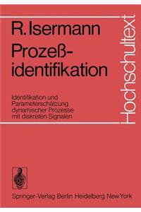Prozeßidentifikation