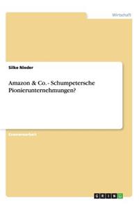 Amazon & Co. - Schumpetersche Pionierunternehmungen?