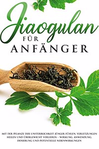 Jiaogulan für Anfänger