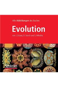 Evolution