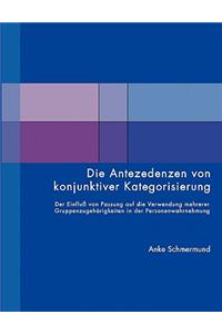 Antezedenzen von konjunktiver Kategorisierung