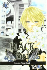 Black Bird 13