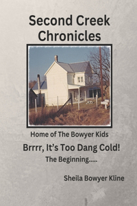 Brrrr, It's Too Dang Cold!
