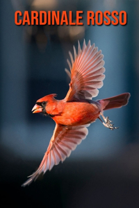 Cardinale rosso