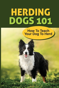 Herding Dogs 101