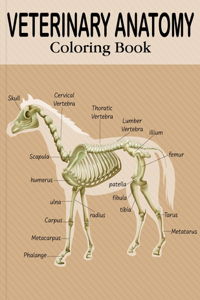 Veterinary Anatomy Coloring Book