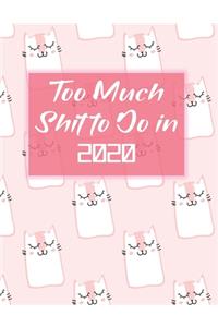 Too Much Shit to do in 2020