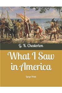 What I Saw in America