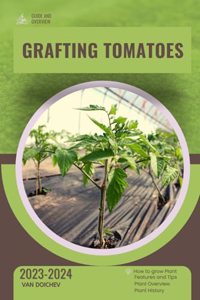 Grafting Tomatoes